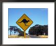 Kangaroo Crossing Sign By Road, West Australia by Rick Strange Limited Edition Print