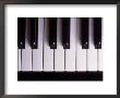 Piano Keys by Chris Rogers Limited Edition Print