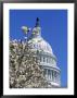Capitol Building, Washington, Dc by Mark Gibson Limited Edition Print