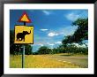 Road Sign, Zimbabwe by Jacob Halaska Limited Edition Print