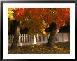 Fall Leaves And White Fence, Nevada City, Ca by Frank Pedrick Limited Edition Pricing Art Print