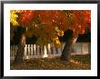 Fall Leaves And White Fence, Nevada City, Ca by Frank Pedrick Limited Edition Print