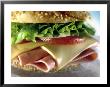 Close-Up Of Sandwich by Atu Studios Limited Edition Print