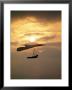 Hang Gliding by Doug Page Limited Edition Print