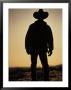 Silhouette Of Cowboy At Sunset by Karl Neumann Limited Edition Print