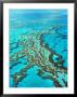 Great Barrier Reef, Queensland, Australia by Peter Walton Limited Edition Pricing Art Print