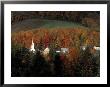 Early Morning View Of Village In Autumn, Vt by Dave L. Ryan Limited Edition Pricing Art Print