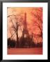 Eiffel Tower, Paris, France by Tamarra Richards Limited Edition Print