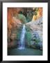 Shulamit Fall At En Gedi Reserve, Israel by Barry Winiker Limited Edition Print