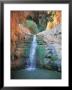 Shulamit Fall At En Gedi Reserve, Israel by Barry Winiker Limited Edition Print