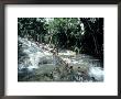 Dunn Falls, Ocho Rios, Jam Tvtp297 by Ron Johnson Limited Edition Pricing Art Print