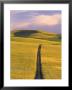 Road Through Wheat Field by Mark Windom Limited Edition Print