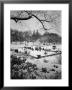 Snowing Evening Central Park, Nyc by Walter Bibikow Limited Edition Print