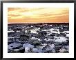 Ocean In Low Tide, Yorkshire, England by Jules Cowan Limited Edition Print