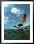 Catamaran Sailing, Biscayne Bay, Miami, Fl by Pat Canova Limited Edition Print