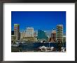 Skyline And Bay, Baltimore, Md by Vic Bider Limited Edition Print
