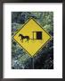 Crossing Sign Of Amish Buggy, Pa by Bob Burch Limited Edition Print