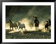 Cowboys On Horse Drive by Nancy Sams Limited Edition Pricing Art Print