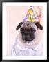 Fawn Pug Wearing Birthday Party Hat by Charles Cangialosi Limited Edition Pricing Art Print