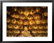 Ceiling Of The Dome Of The Arg-E Karim Kahani, Shiraz, Fars, Iran by Phil Weymouth Limited Edition Print