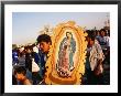 Pilgrim Carrying Icon Of Virgin Mary At The Basilica De Guadalupe, Mexico City, Mexico by Rick Gerharter Limited Edition Print