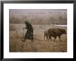 Mongolian Woman Checks On The Cattle by Gordon Wiltsie Limited Edition Print