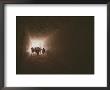 Tourists Inside The Egyptian Tomb Of Tawsert At Luxor by Kenneth Garrett Limited Edition Print