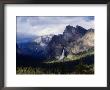 Pine Tree-Lined Valley And Grey Granite Walls Of Discovery View, Yosemite Nat. Park, California by Curtis Martin Limited Edition Print
