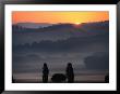 Dawn Over Tuscan Landscape Near Buonconvento, Buonconvento, Tuscany, Italy by Diana Mayfield Limited Edition Print