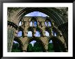 Ruins Of Rievaulx Abbey, 12Th Century Cistercian Monastery, North York Moors National Park, England by Grant Dixon Limited Edition Print