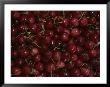 Cherries by Nicole Duplaix Limited Edition Print