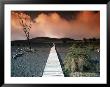 Devastation Trail, Hi by Eric Figge Limited Edition Print