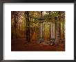 Ruins Portal by Irene Suchocki Limited Edition Print