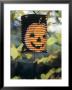 Paper Lantern With Printed Pumpkin Face Hanging In Tree by Alena Hrbkova Limited Edition Print