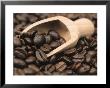 Coffee Beans In A Scoop by Steven Morris Limited Edition Print