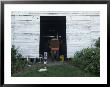 Two Rabbits Outside A Barn In Greenleaf, Kansas by Joel Sartore Limited Edition Print