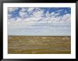 Wind, Waves And Clouds by Skip Brown Limited Edition Pricing Art Print