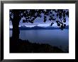 The Sun Reflects Over Kachemak Bay, Alaska by Stacy Gold Limited Edition Print