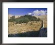 Last Remaining Cedar Forest Covering Only A Few Hectares, Cedar Forest, Lebanon, Middle East by Fred Friberg Limited Edition Print