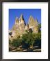 Pigeon Cotes Cut In Volcanic Rock, Apricot Trees In Foreground, Uchisar, Cappadocia, Turkey by Christopher Rennie Limited Edition Print