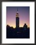 The Empire State Building, New York, New York State, Usa by Christina Gascoigne Limited Edition Print