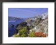 Cruiseship Passing The Island, Santorini, Cyclades Islands, Greece, Europe by Gavin Hellier Limited Edition Print