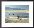 Badwater, Lowest Point In The U.S.A., Death Valley, California, United States Of America (U.S.A.) by Gavin Hellier Limited Edition Pricing Art Print