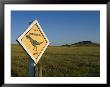 A Playful Sign Warns Motorists To Watch Out For Dinosaurs by Ira Block Limited Edition Print