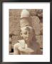 Statue Of The Pharaoh Ramses Ii, Karnak Temple, Thebes, Unesco World Heritage Site, Egypt by Nico Tondini Limited Edition Print