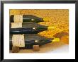 Double Magnum Bottles Of Chablis, Premier Cru Les Vaillons, Domaine Michel Laroche, France by Per Karlsson Limited Edition Print