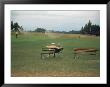 Golfers Sitting On Bench Near Practice Greens While Awaiting Tee Time On Pinehurst Golf Course by Walker Evans Limited Edition Print