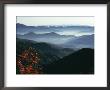 Mist Rising From The Cataloochee Ski Area, Near Maggie Valley, North Carolina, Usa by Julian Pottage Limited Edition Print