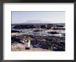 Woman On Beach At Bloubergstrand Looking Across To Table Mountain, Cape Town, South Africa, Africa by Yadid Levy Limited Edition Pricing Art Print