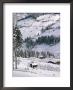 Alpbach, Austria by Adam Woolfitt Limited Edition Print